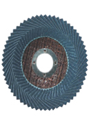 Flexisdisc